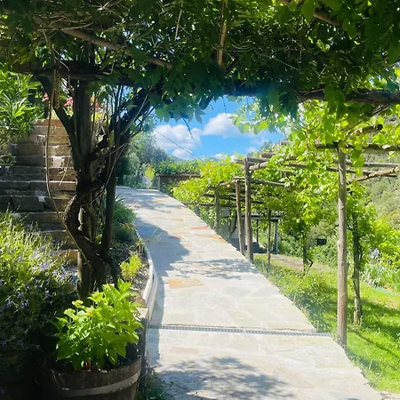 Le Massoulier Pergola